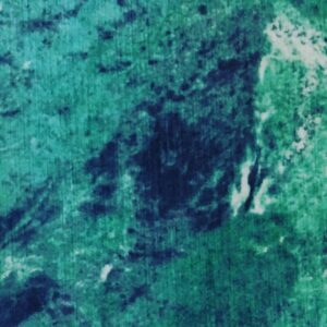 Hesperia velvet O&L...